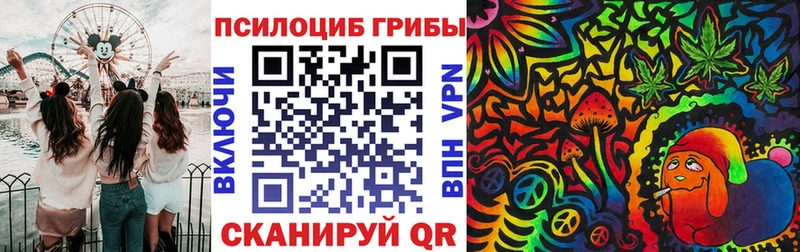 Галлюциногенные грибы прущие грибы  Духовщина 